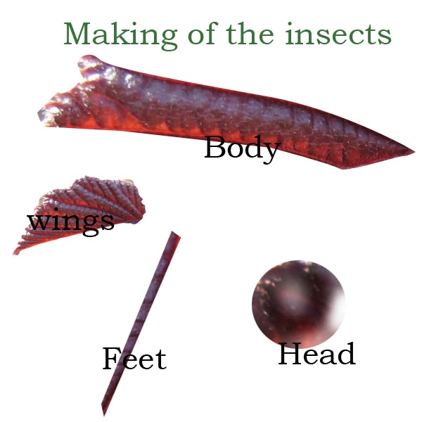 Creation of Leaf Valley: Step 1